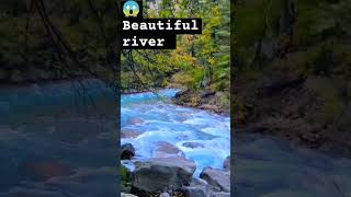 Beautiful river music love travel shortfeed riverside blue himalai [upl. by Crim]