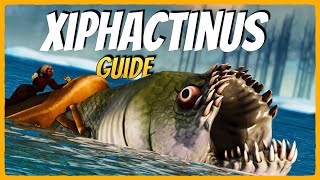 Xiphactinus Guide Spawn Taming Eigenschaften  ARK Survival Ascended [upl. by Adaliah598]