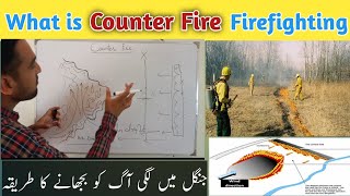 What Is Counter Fire Firefighting In Hindi  How To Fight Forest Fires  Counter Fire kya hai [upl. by Arima]