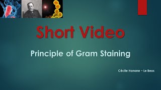 GRAM STAINING PRINCIPLE [upl. by Ifen154]