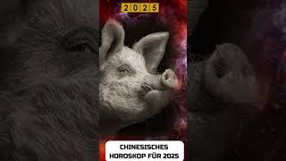 Schwein Chinese Horoscope 2025 [upl. by Sparhawk]