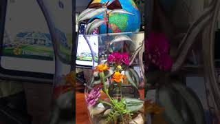 Flower vase arrangement quotPhilAm Country Livingquot [upl. by Corron]