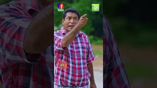 পঁচা মাছ কিনে বাড়িতে আসার পর bvshorts [upl. by Akirdnwahs]