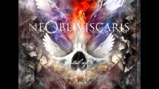 Ne Obliviscaris  And Plague Flowers The Kaleidoscope [upl. by Sherard]