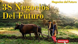 LOS 38 NEGOCIOS MÁS RENTABLES DEL FUTURO [upl. by Heidi]