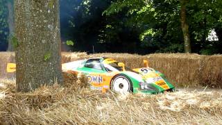 Goodwood Festival Of Speed 2011 Le Mans Cars [upl. by Nazarius]