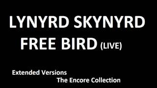 Lynyrd Skynyrd  Free Bird live extended version [upl. by Som]