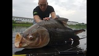 Bungsamran Fishing Giant Siamese Carp ตกปลากระโห้ยักษ์ [upl. by Corine521]