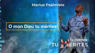 Marius Psalmiste  TU MERITES LYRIC [upl. by Eseer951]