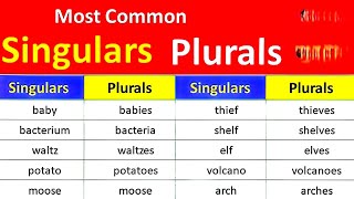 Singular and Plural rules  top 100 repeated singular plural nouns list  IBA  STS  Sindh police [upl. by Accissej]