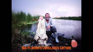 Gator Hunting in Florida 2 Big Everglades Alligators [upl. by Goldie264]