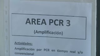 Minsal autoriza examen PCR sin orden médica y médicos advierten trazabilidad débil [upl. by Ahselrak]