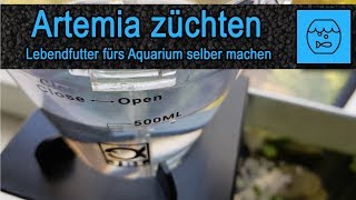 Artemia züchten und verfüttern  Lebendfutter selber machen  Fischfutter  JBL Artemio Set [upl. by Alrak]