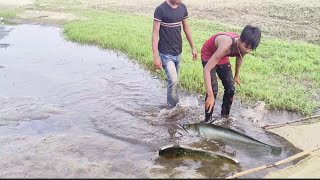 Must watch amazing village fishing video  latest episode 31 [upl. by Mignon286]