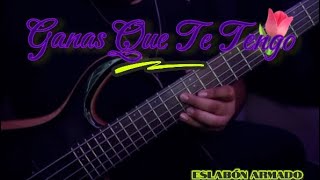 Ganas Que Te Tengo Eslabon armado Bass Cover [upl. by Nodgnal]