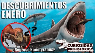 DESCUBRIMIENTOS ENERO 2024 MEGALODON CAMBIA FORMAS ¿NANOTYRANNUS ES VÁLIDO PIEL DE ALLOSAURUS [upl. by Saire]