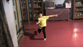 TROY BOI  SOLO DANCE  OFFICIAL BY VISHWADEEP MITRA [upl. by Dayle]