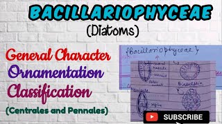 Algae Diatoms Bacillariophyceae General Character Ornamention in Diatoms Classification Diatoms [upl. by Paymar917]