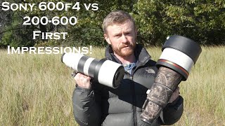 Sony 600mm f4 vs 200600 First Impressions [upl. by Koressa231]