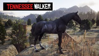 How to Get the Tennessee Walker Black Rabicano Horse in RDR2 [upl. by Anton]