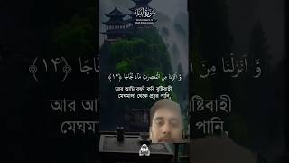 surah an naba🇧🇩💓heart reaction youtubeshorts shortsvideo viralvideo reels [upl. by Harlow517]