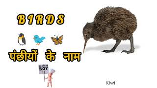 Birds Name and prakar Birds education video [upl. by Eseekram297]