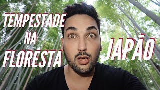 VOCÊ NUNCA VIU UMA FLORESTA ASSIM  JAPÃO ep 11 [upl. by Bette-Ann578]