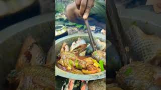 Outdoor Cooking 🌿🐟 කොරලි එක්ක මයියොක්කා 🌿🐟 travel outdoorcookinglankannature zhurektrending [upl. by Auohp588]