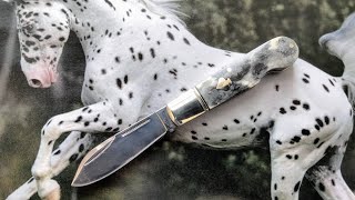 MOST ANTICIPATED KNIFE IN A LONG TIME  Rough Ryder Black Appaloosa Spades RR2486  EZ Open Jack [upl. by Bergin]