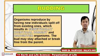 GRADE 11 EARTH AND LIFE SCIENCE Q2  PERPETUATION OF LIFE [upl. by Eitsyrhc139]