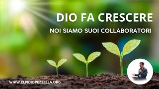 Dio fa crescere noi siamo suoi collaboratori [upl. by Amice]