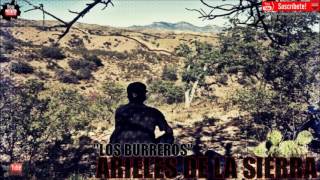 Los Burreros Corridos En Vivo   Arieles De La Sierra [upl. by Alida]