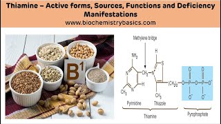 Thiamine  Sources Functions and Deficiency  Vitamin B1 Biochemistry  Thiamine Biochemistry [upl. by Bradney786]