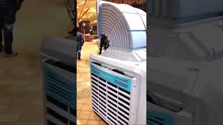 Symphony air cooler in Hotels Treat resort Daman symphony Aircoolerinhotel [upl. by Einimod]