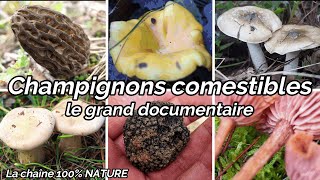 Champignons comestibles de France documentaire exclusif [upl. by Brook]