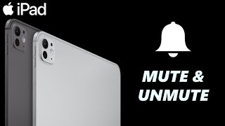 How To Mute amp Unmute iPad [upl. by Eseerehc848]