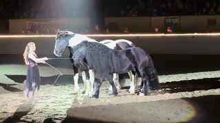 Fantasia Equine Affaire Massachusetts 2024 [upl. by Naeruat]