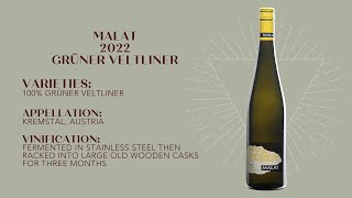 WINECULT Bottle Breakdown  Malat 2022 Gruner Veltliner [upl. by Gascony]