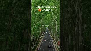 Trees will good Air amp Shadows♥️🥰😍💕plant it liketravelshortsviral youtube shot short trending [upl. by Eitsym]