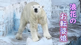 ホウちゃん 天王寺動物園｜Polar bear ホッキョクグマ しろくま シロクマ [upl. by Enehs291]