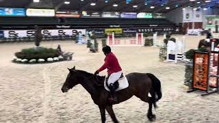 Lacasall de Longchamps 4 ans [upl. by Melodee15]