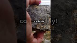 Unveiling Metamorphic Mysteries  Rock Transformations [upl. by Eicnahc566]