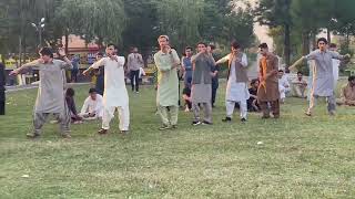 Pashton student attan in Hazara university mensahera attan pashtoncalture hazarauniversty vlog [upl. by Venus289]