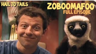 Zoboomafoo Theme Song [upl. by Nylannej]