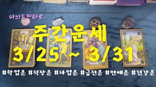 주간타로 이번주는 어떤 행운이 325331 [upl. by Haletky]