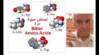 TASTES OF AMINO ACIDS Sweet and bitter amino acids [upl. by Issi]