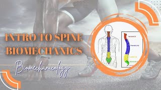 Intro to vertebral column spine  Biomechanics [upl. by Suivat]