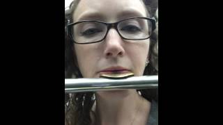 Flute Flexibility Octaves March 9 2016 [upl. by Elleirda]