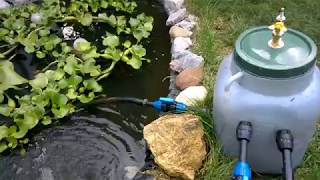 Testare filtru iaz homemade  1 caine prost testing DIY pond filter  stupid dog [upl. by Enymsaj169]