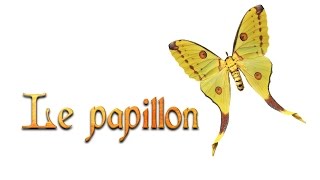 Le Papillon de Robert Desnos [upl. by Pyotr]